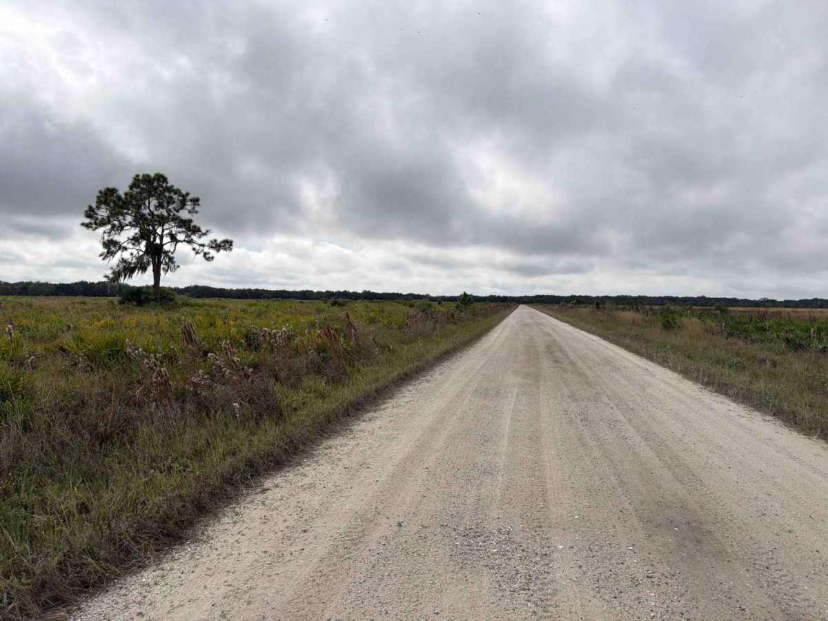Road 16 - Three Lakes WMA photo 6