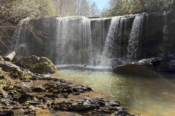 Brasstown Falls - FS 751