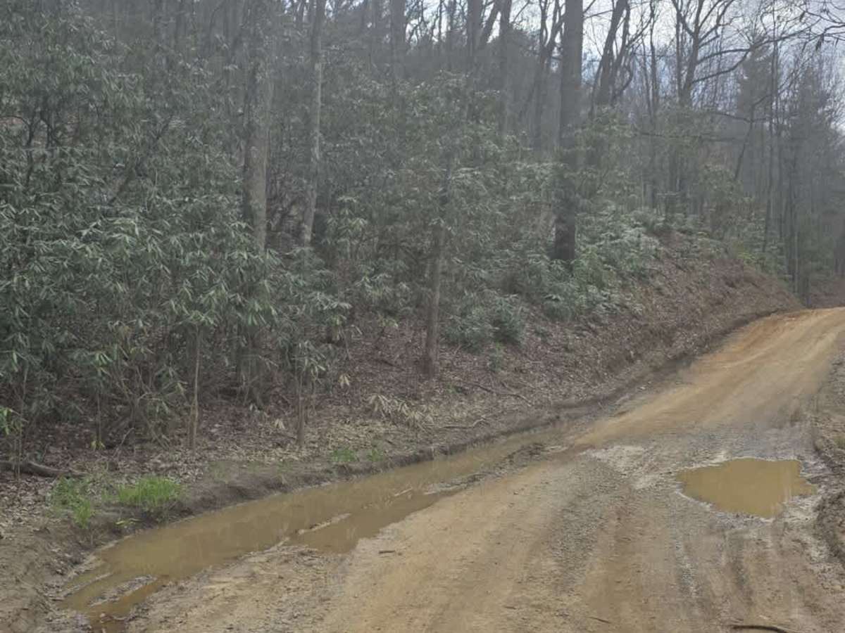 Big Creek South photo 3