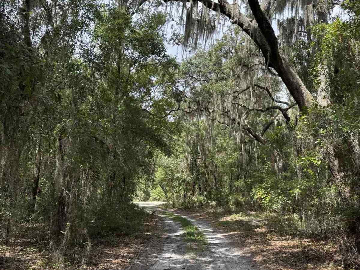 Cemetery Road photo 5