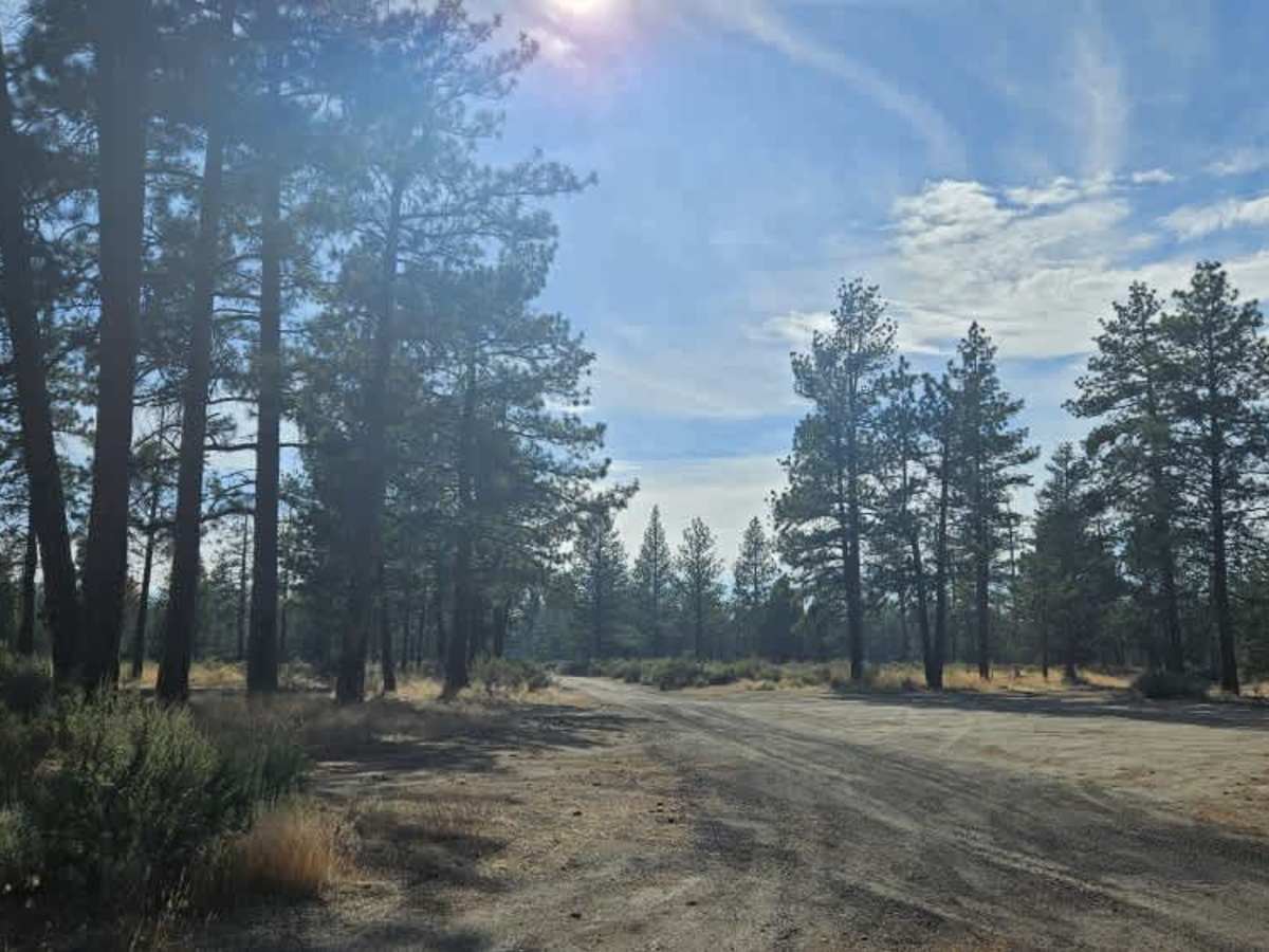 FS 2517000 photo 3