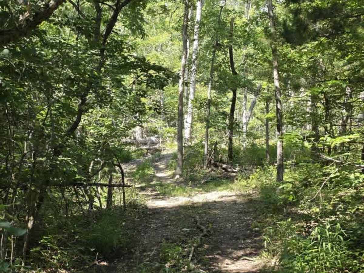 Joy Ride trail photo