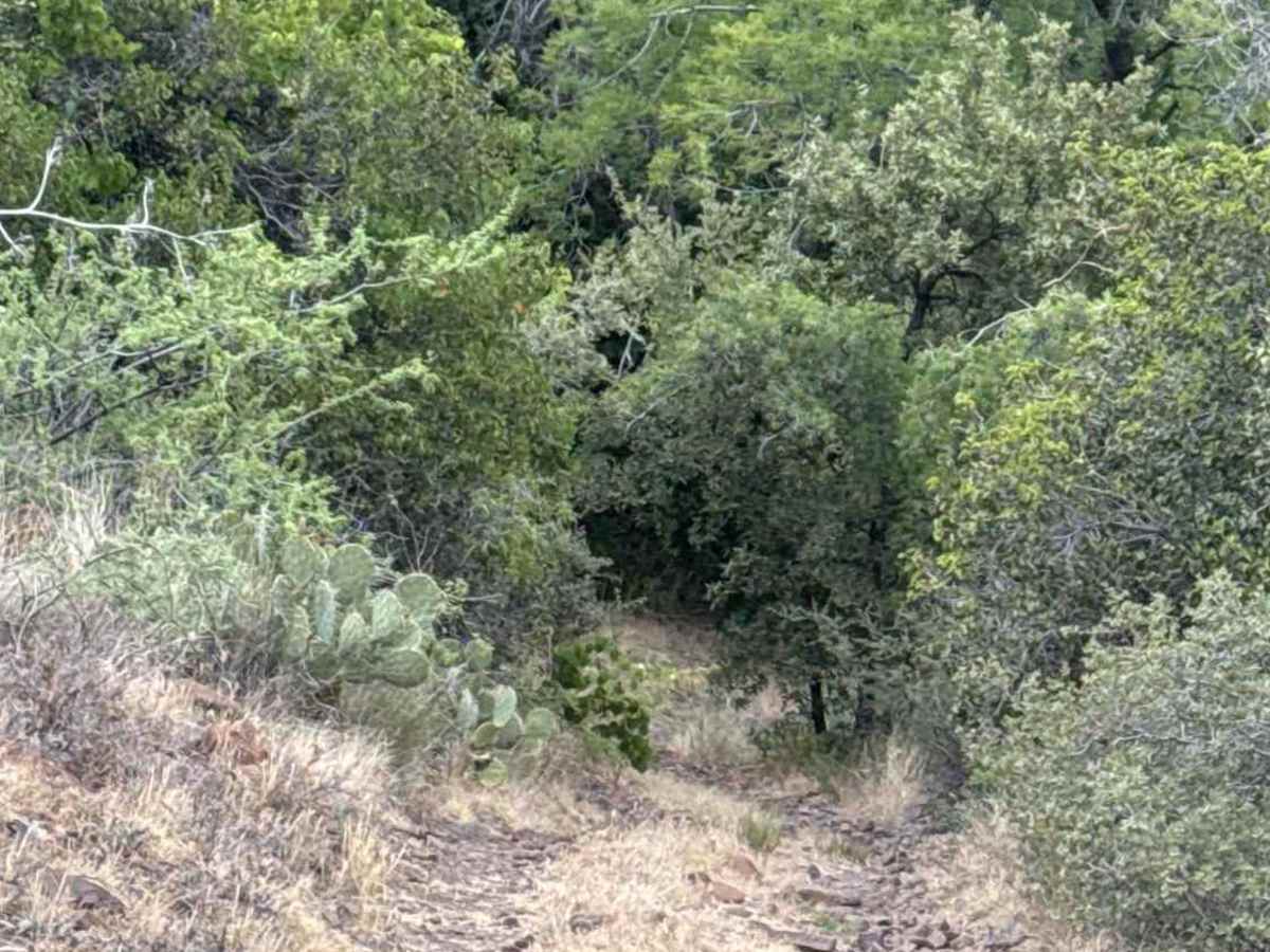 BLM 36046 photo 5