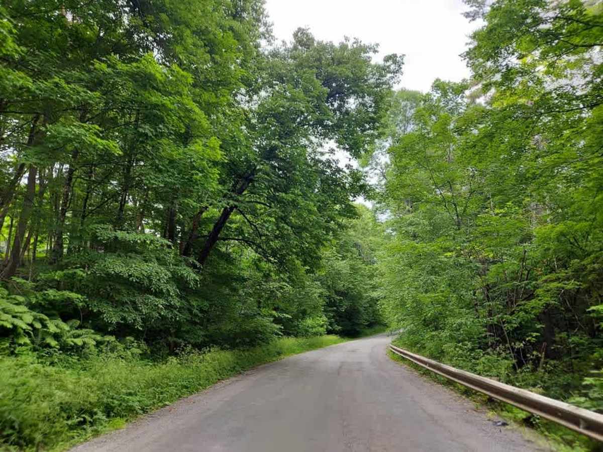 Fay Brook Road photo 3