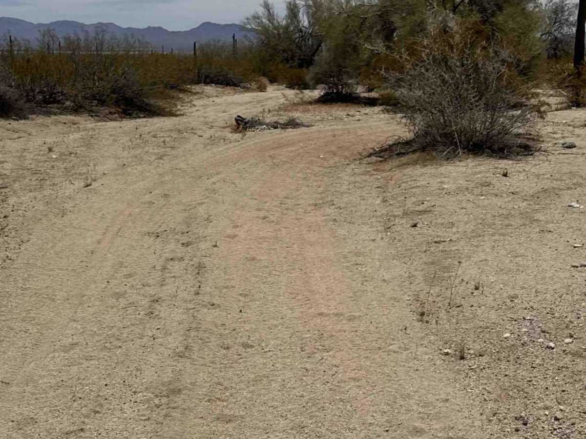 Saguaro Loop  photo 4
