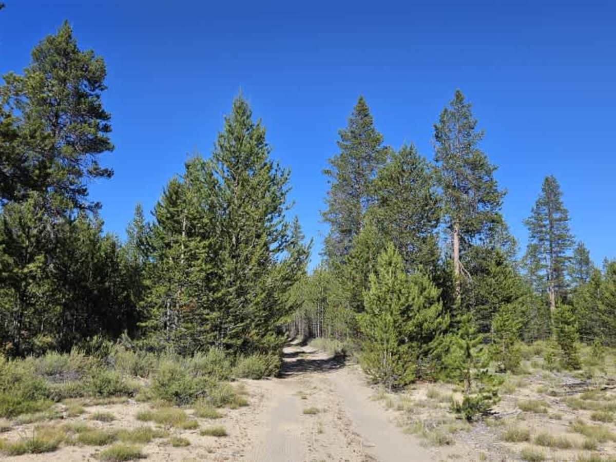 FS 2210650 trail photo