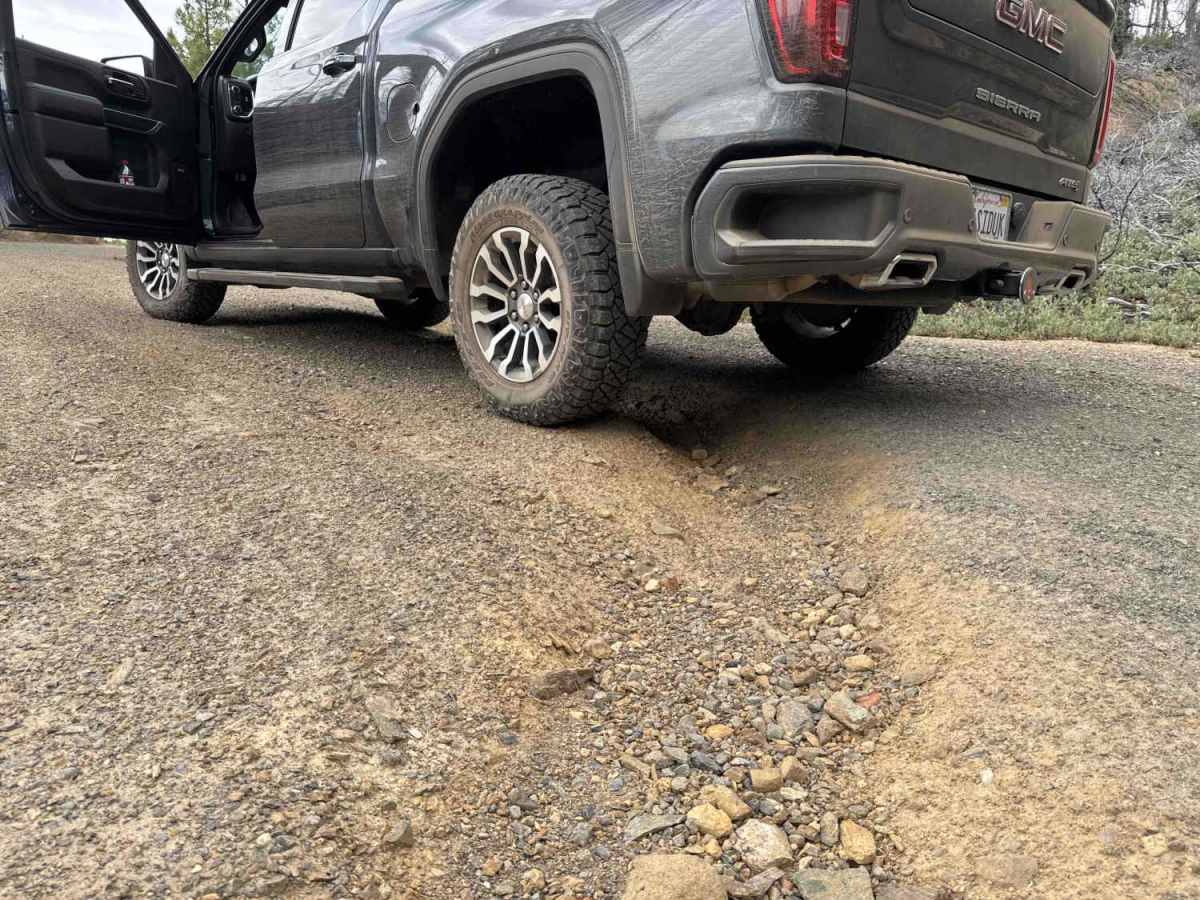 Peavine - FS 33 photo 4