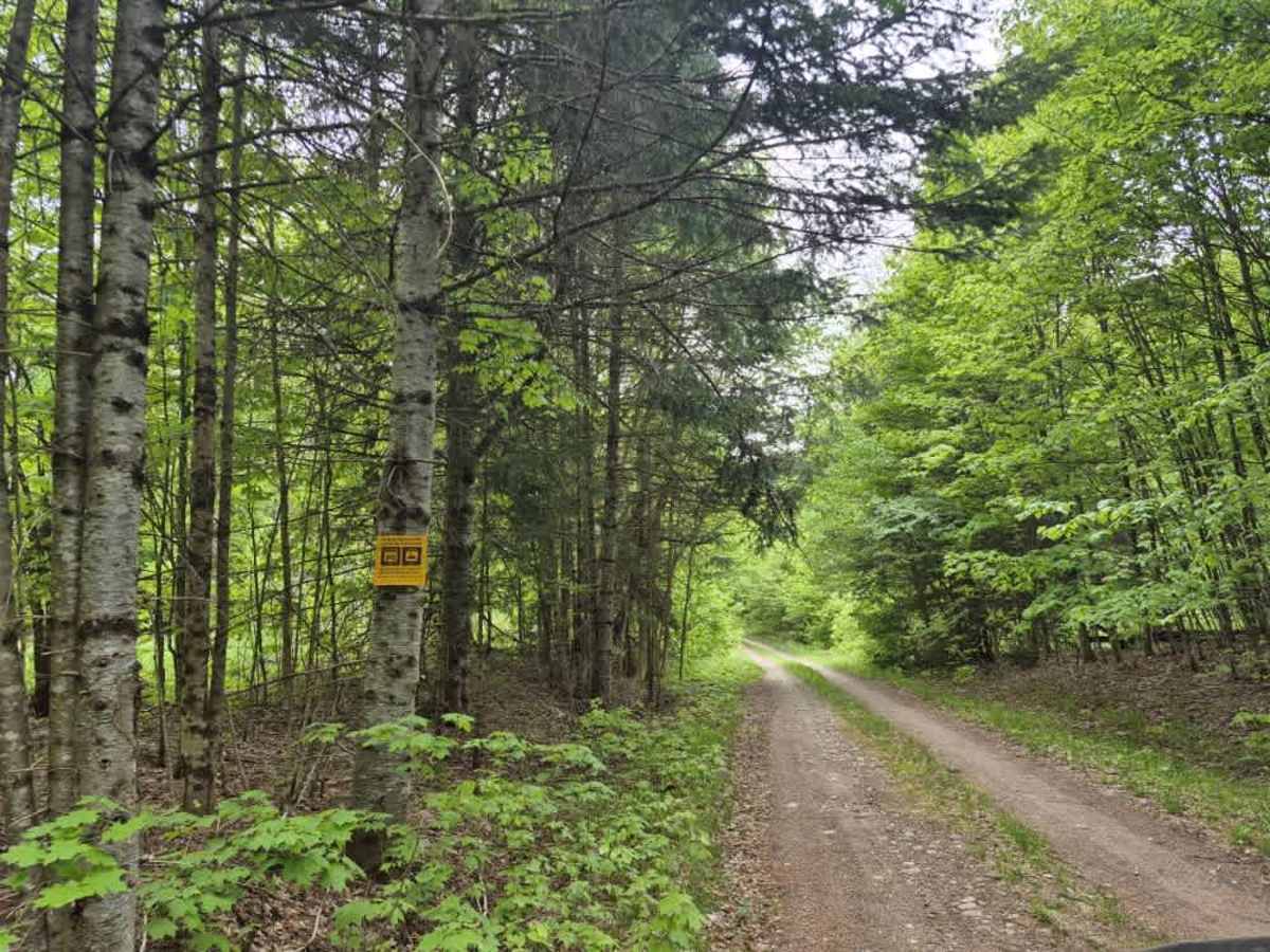 Otter Brook Road trail photo