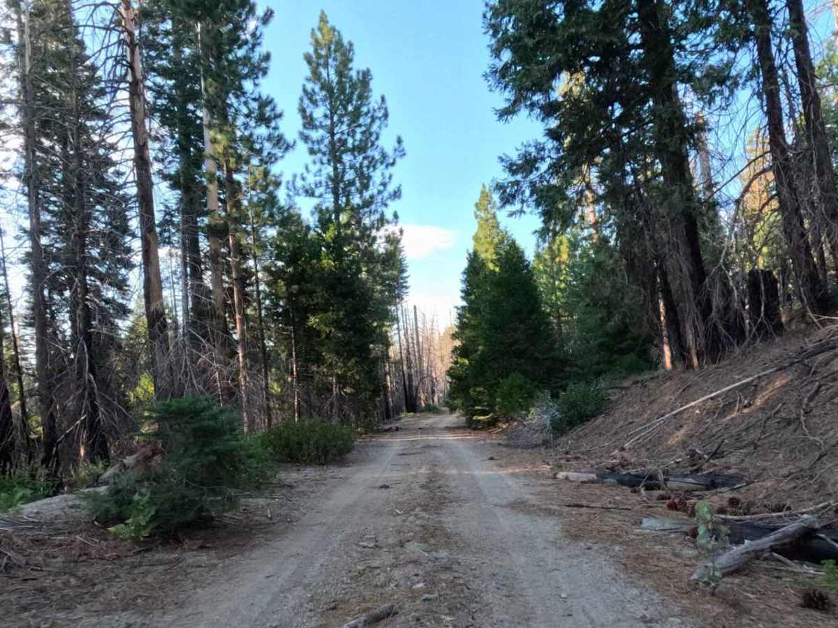 Luman Loop - FS 6S086 photo 5