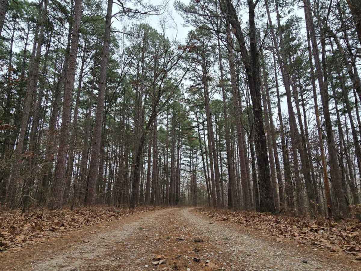 Huffman Road - FS 1735 photo 5