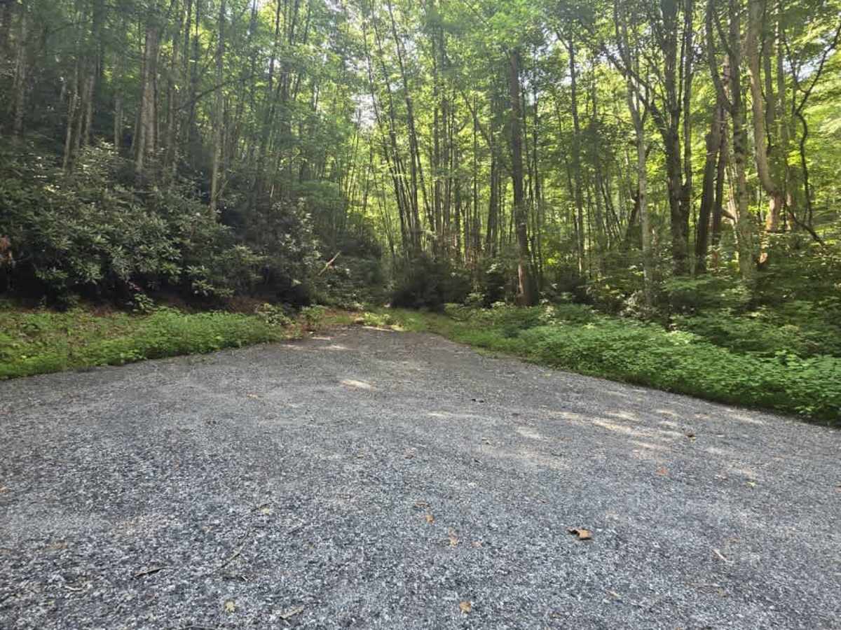 Puncheon Camp Road trail photo