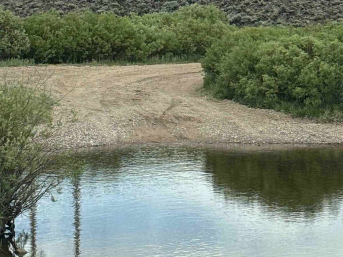 Old Highway Road - FS 206 photo 3
