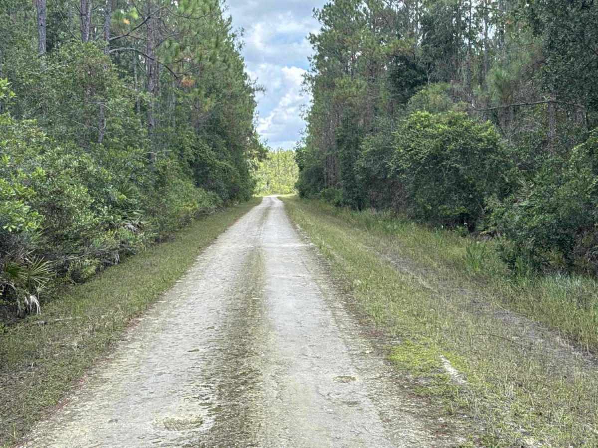 Gopher Ridge Road photo 3