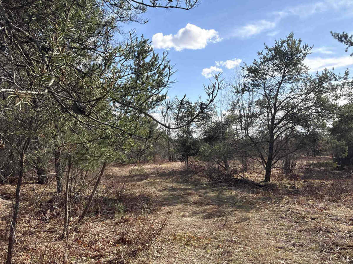 Path Less Traveled  photo 2
