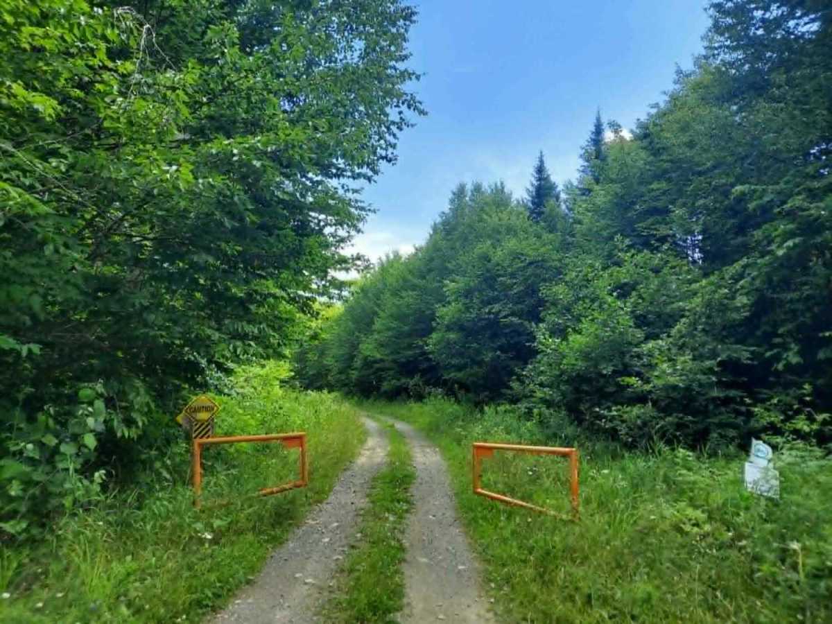 Presque Isle Stream Traverse photo 5