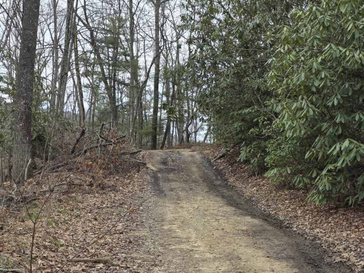 Upper Briar Creek - FS 4354 trail photo