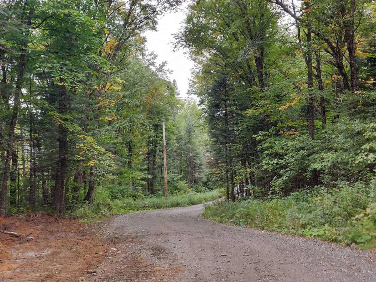Moose Pond Road photo 4