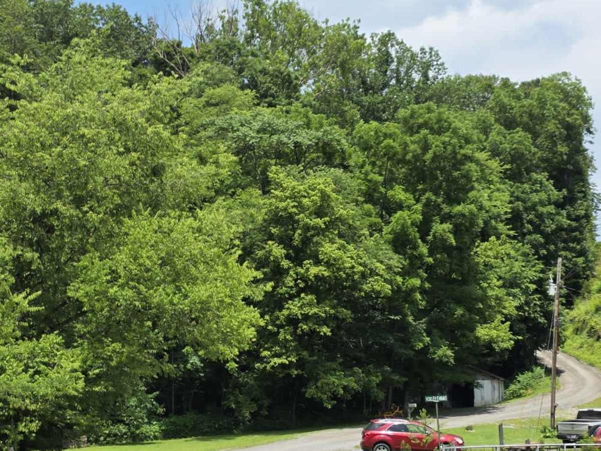 Highland Road - Macon County Tour photo 6