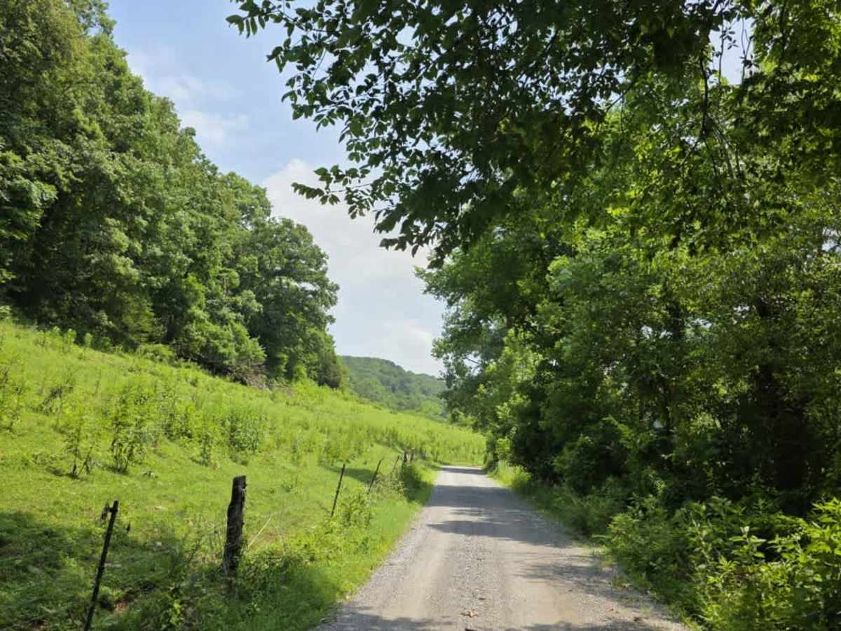 Wilmore Hollow Road - Macon County Tour photo 5