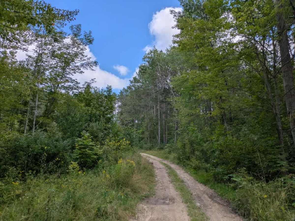 Loon Lake Road photo 6