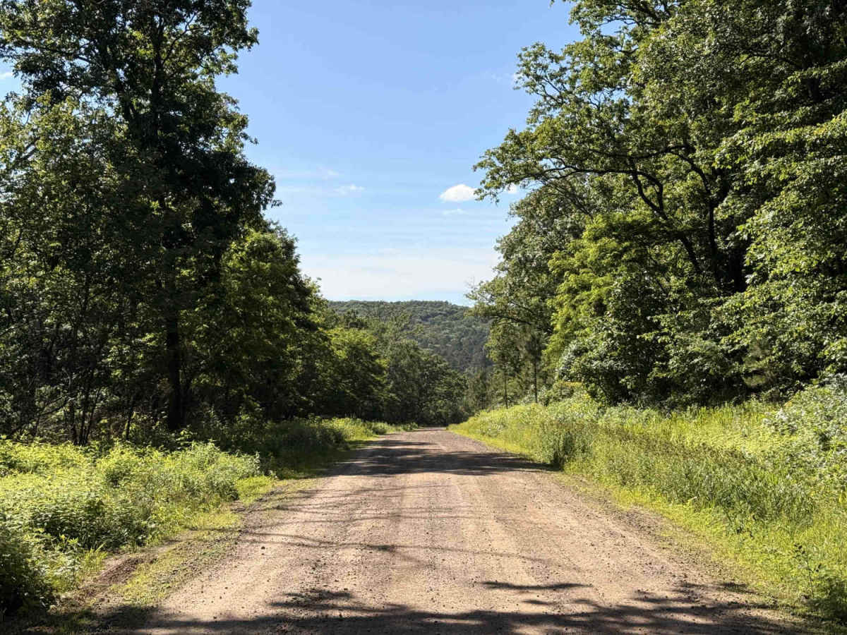 Old Cove City Road photo 6