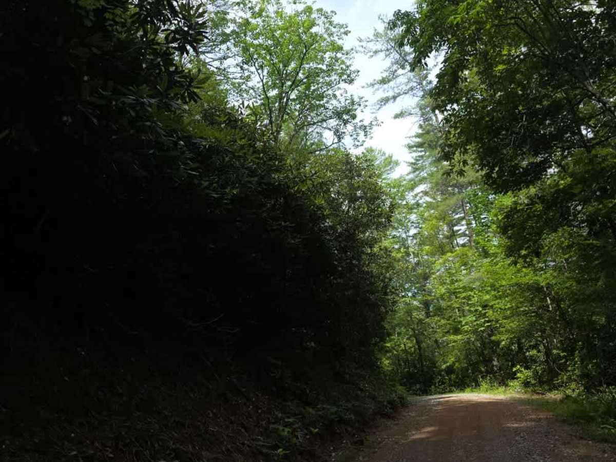 Rocky Branch photo 4