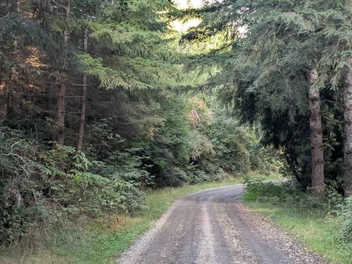 FS 120 trail photo