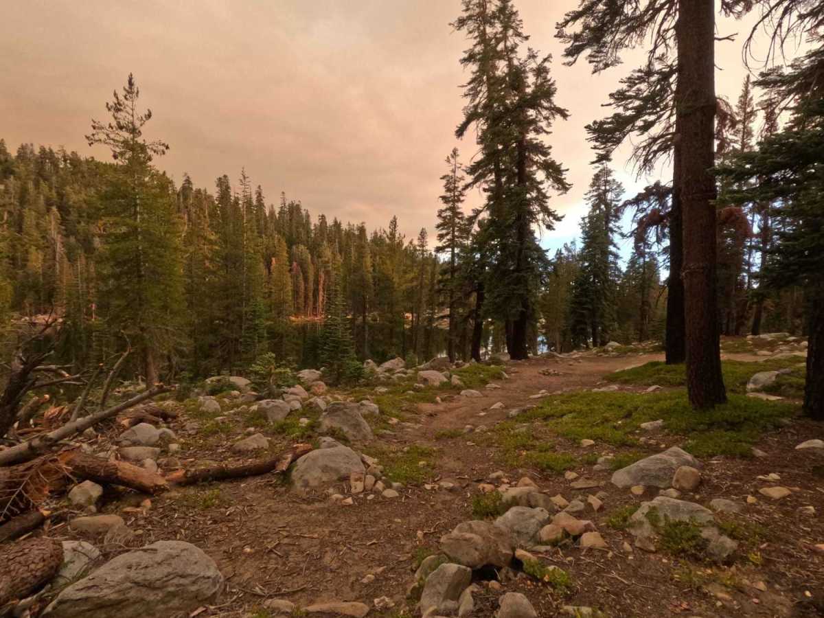 Strawberry Lake - FS 26E214 photo 4