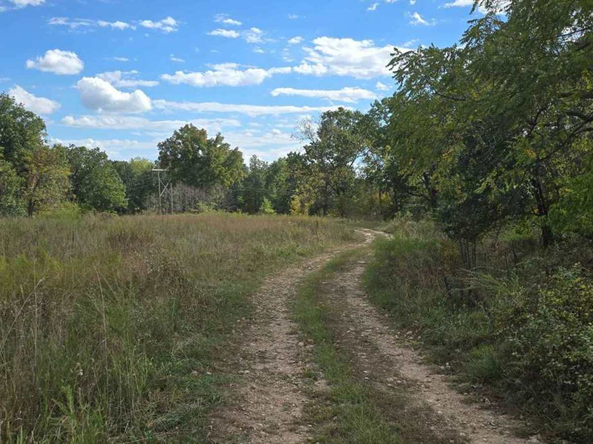 Upper Field Trail photo 4