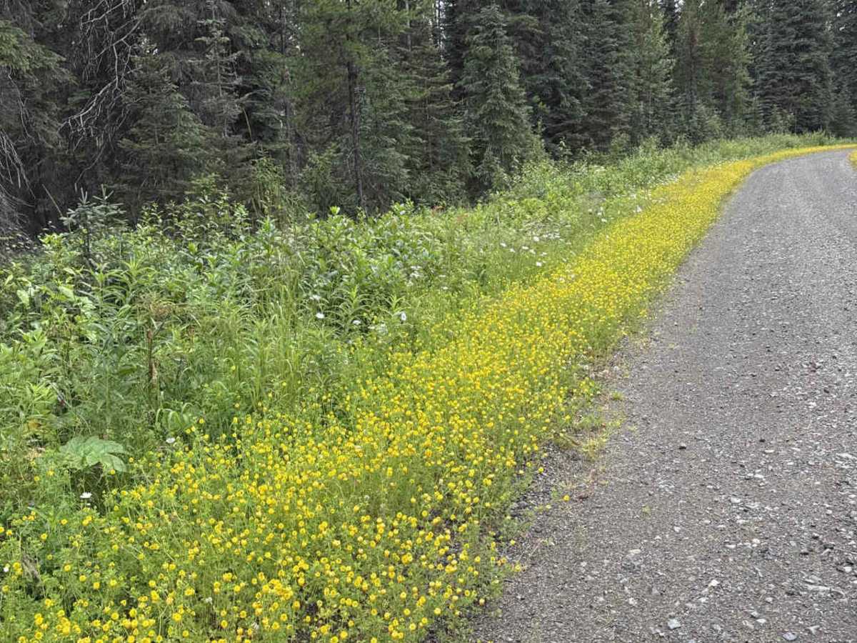 Slender Lake FSR photo 3