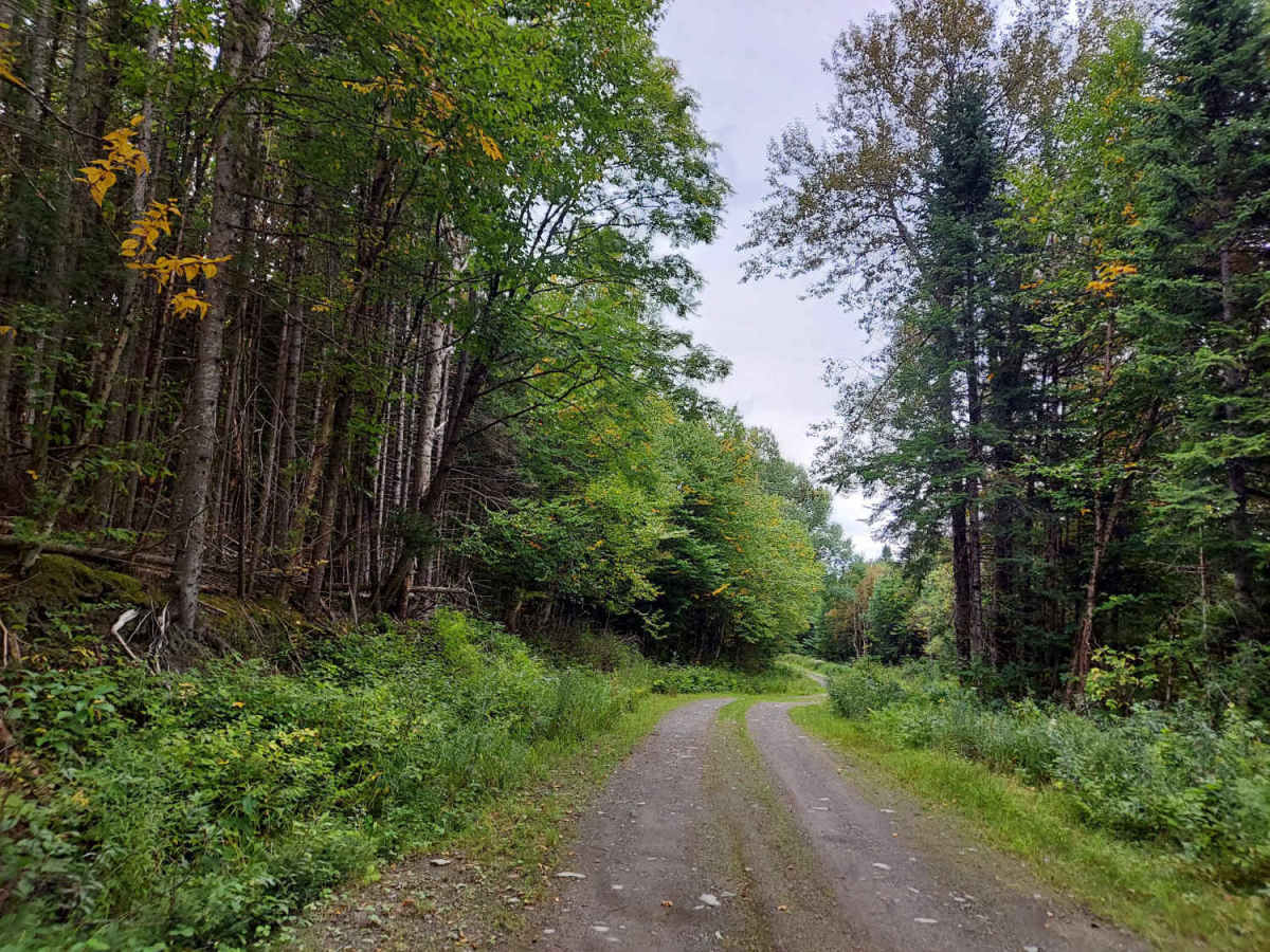 Hall Stream Road photo 6