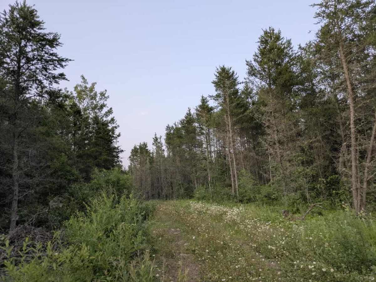 Nester Creek Pit photo 4