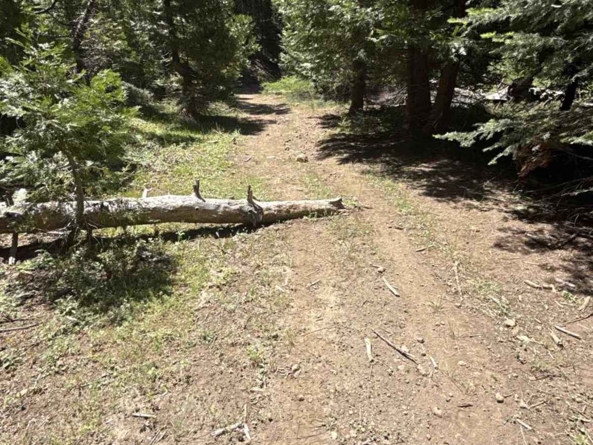 FS 4N72Y trail photo