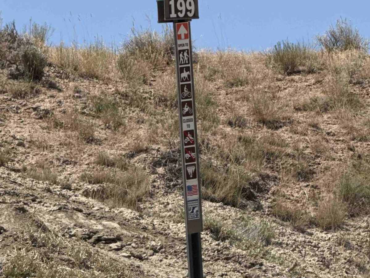 BLM 198 photo 6