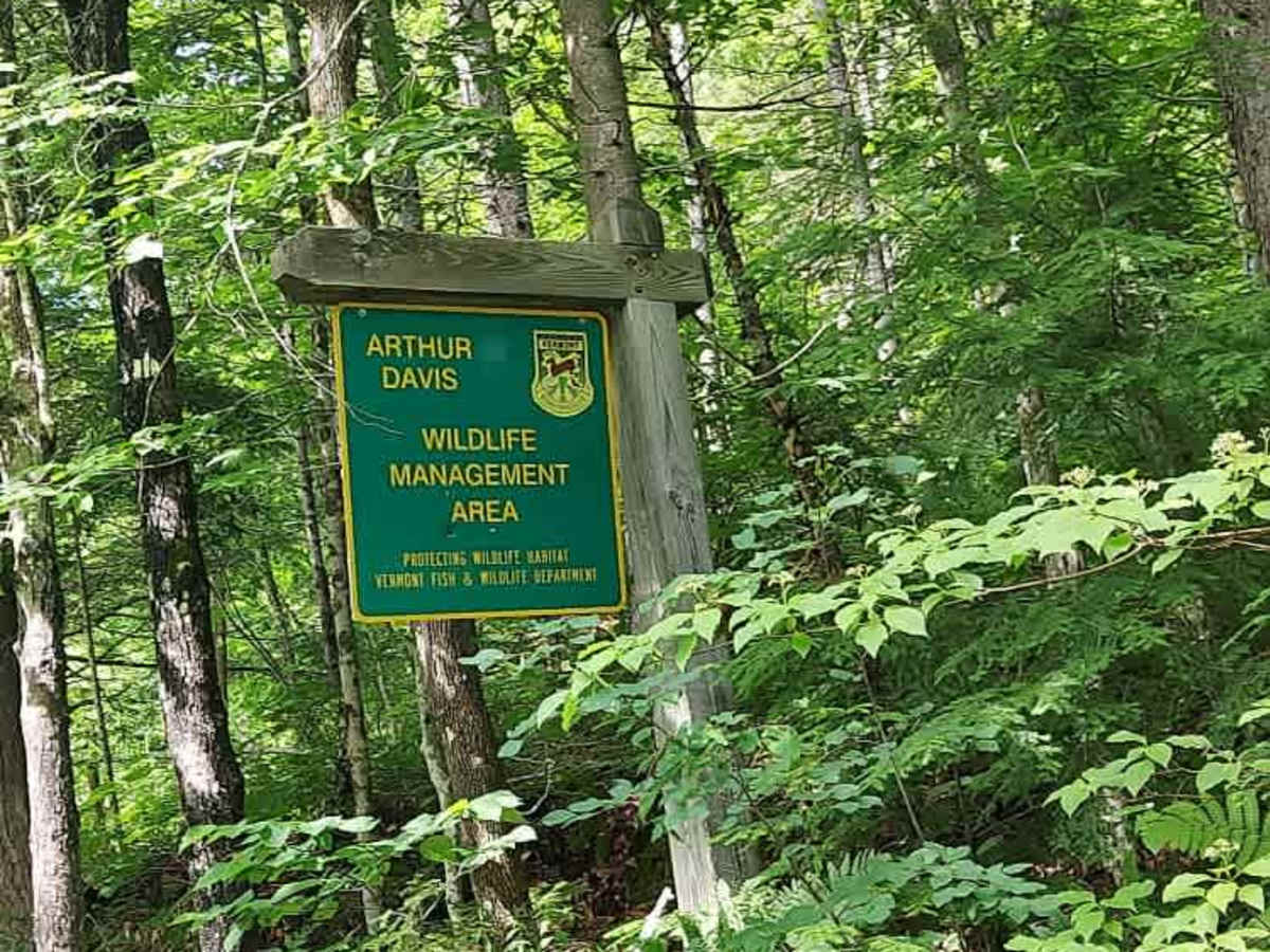 Hale Hollow Trail photo 6