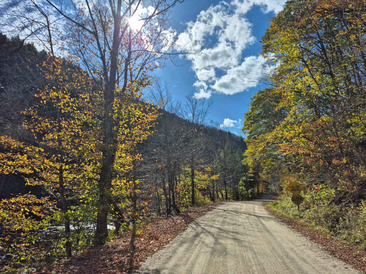 West River Road photo 4