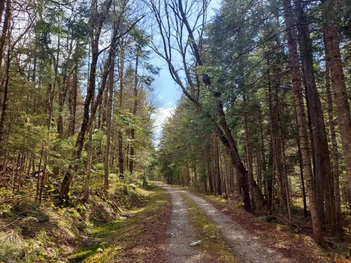 Castle Brook Trail photo 2