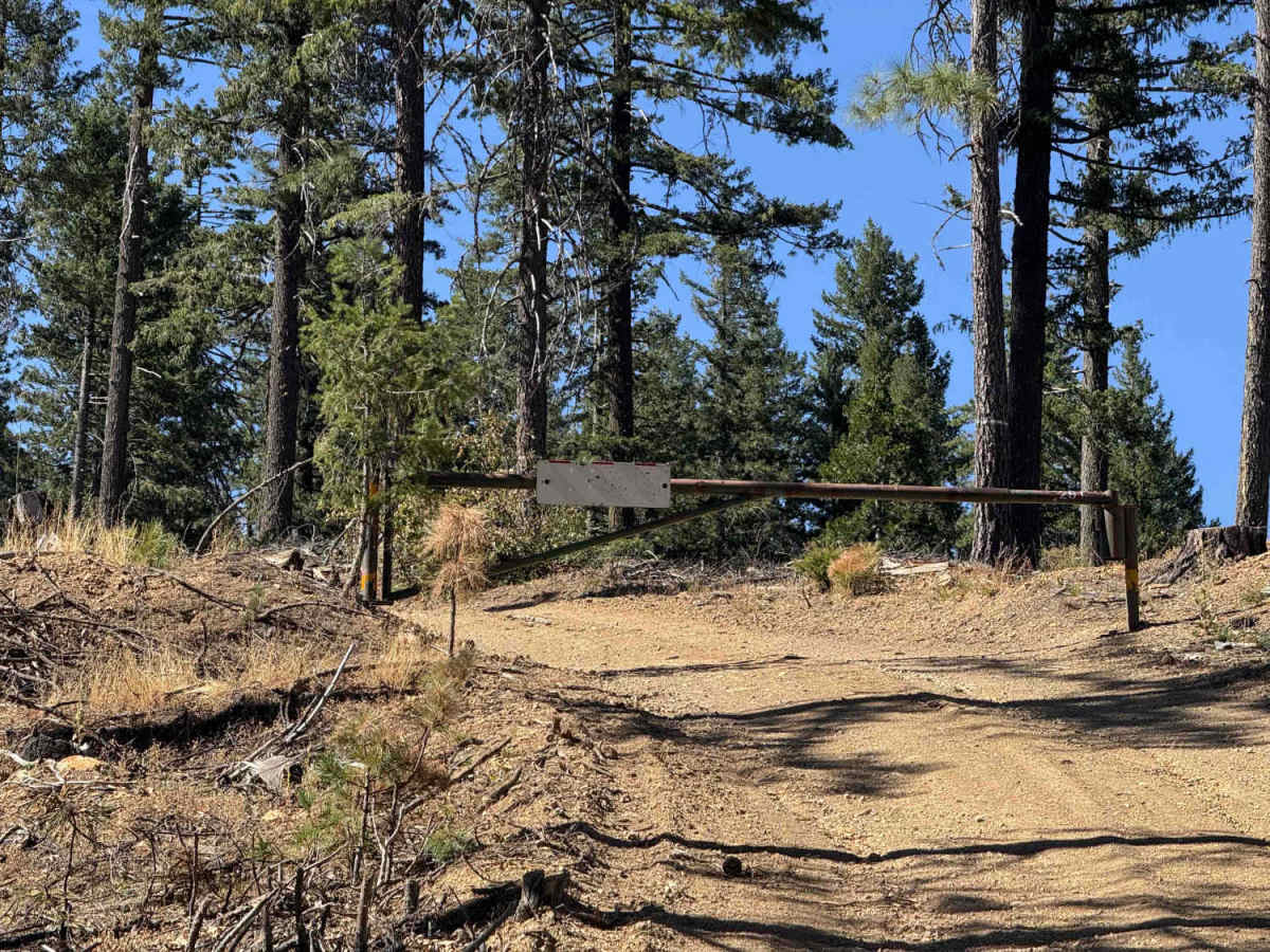 Bowerman Ridge - FS 36N35 photo 6