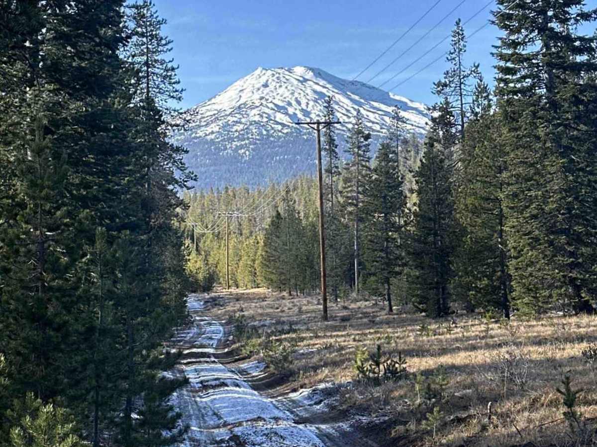 FS 4100-490 trail photo