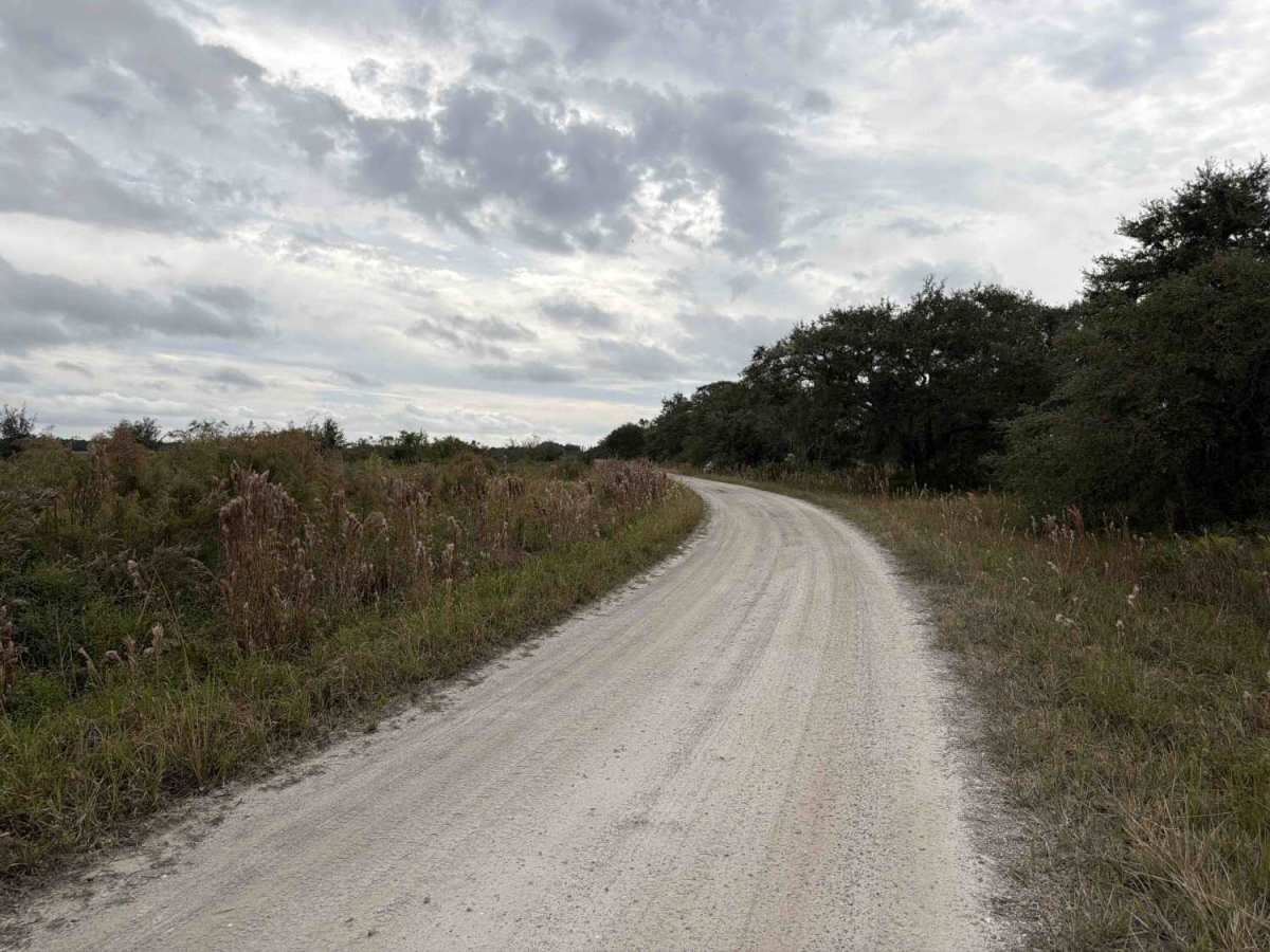 Road 10 - Three Lakes WMA photo 3