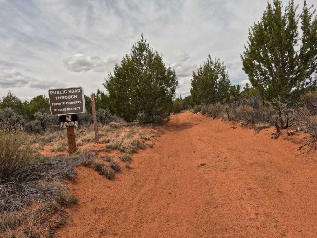 BLM 61 photo 3