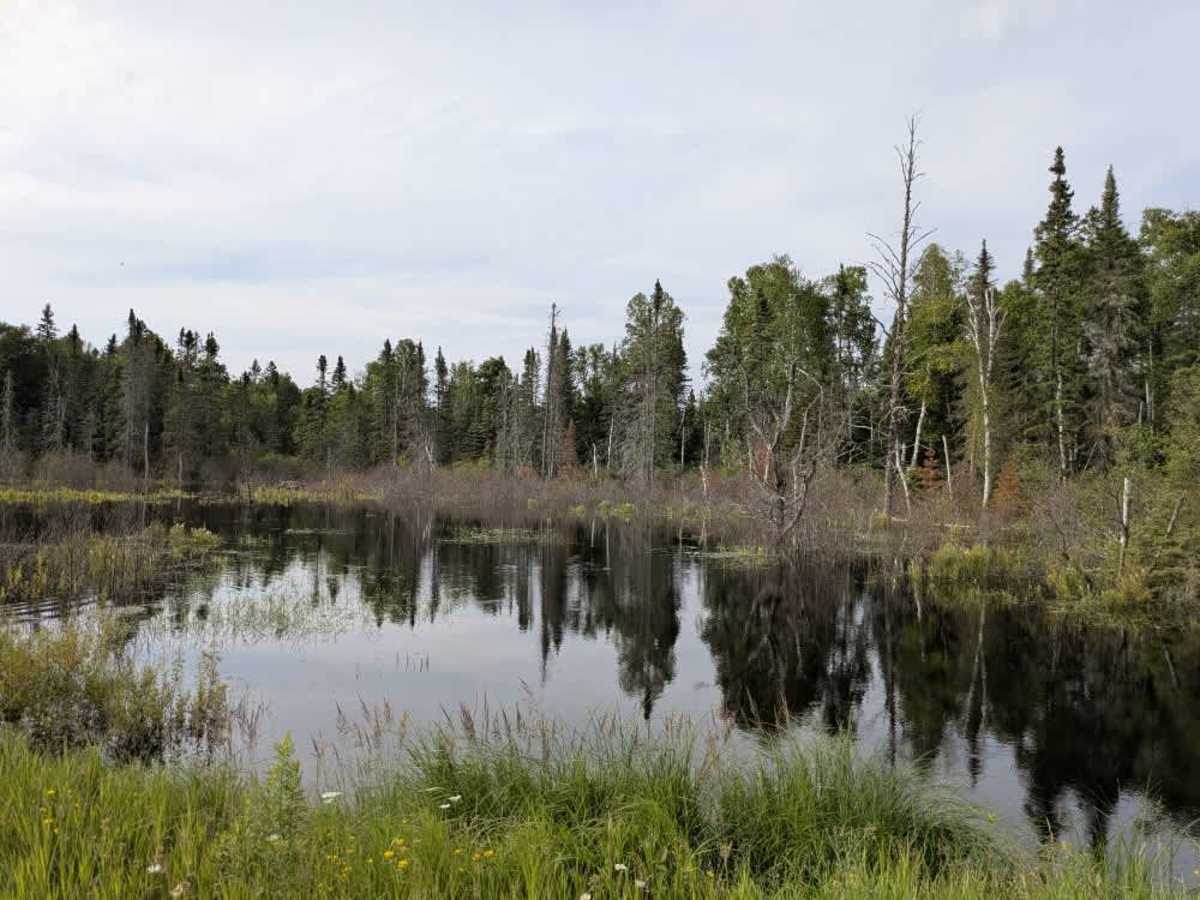 Hoist Lake photo 5