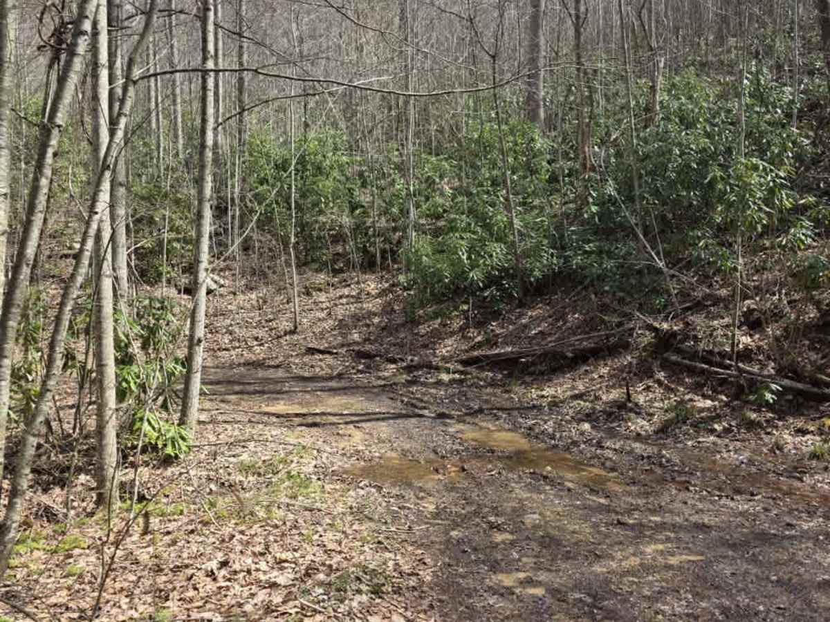 McQueen's Gap Spur - FS 60902 photo 5