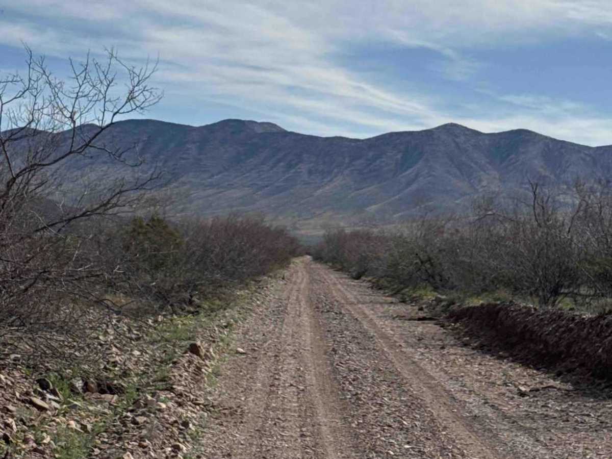 Ss1103 trail photo