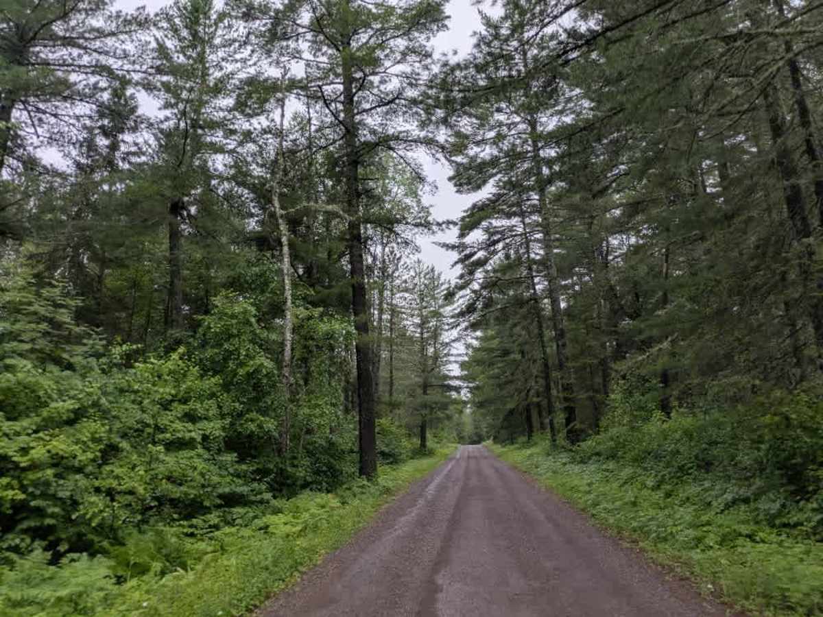 Perent Lake Road trail photo