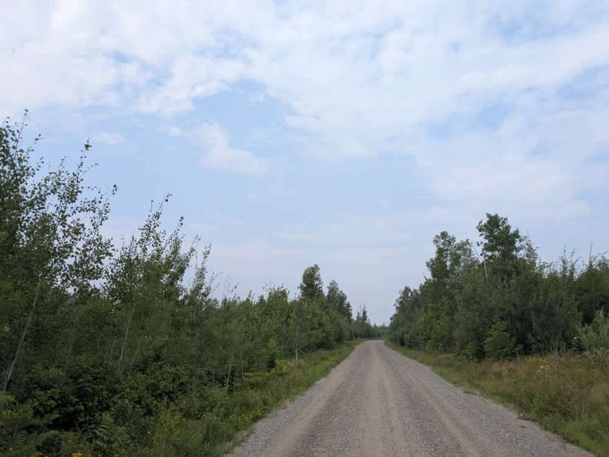 Ash Lake Road photo 5