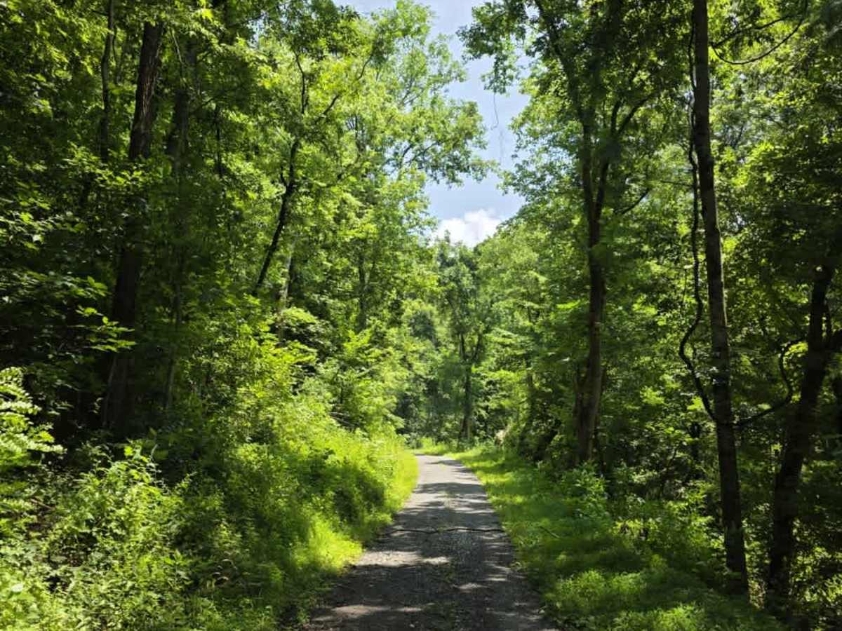 Sneed Hollow Road photo 4