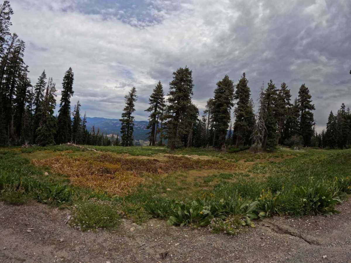 Haskell Sheep Ranch - FS 21N27 photo 3