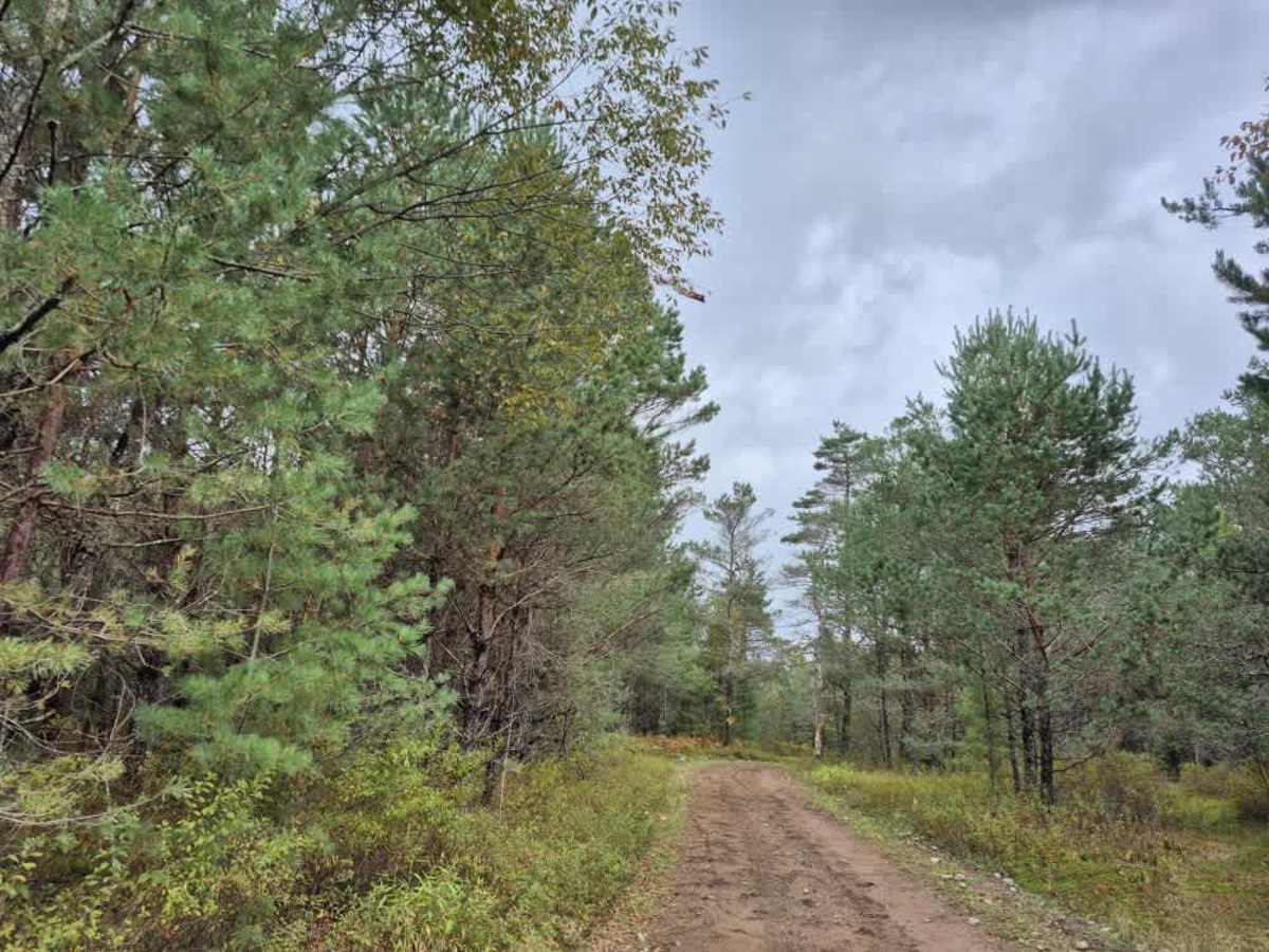 Florence Pond Road photo 3