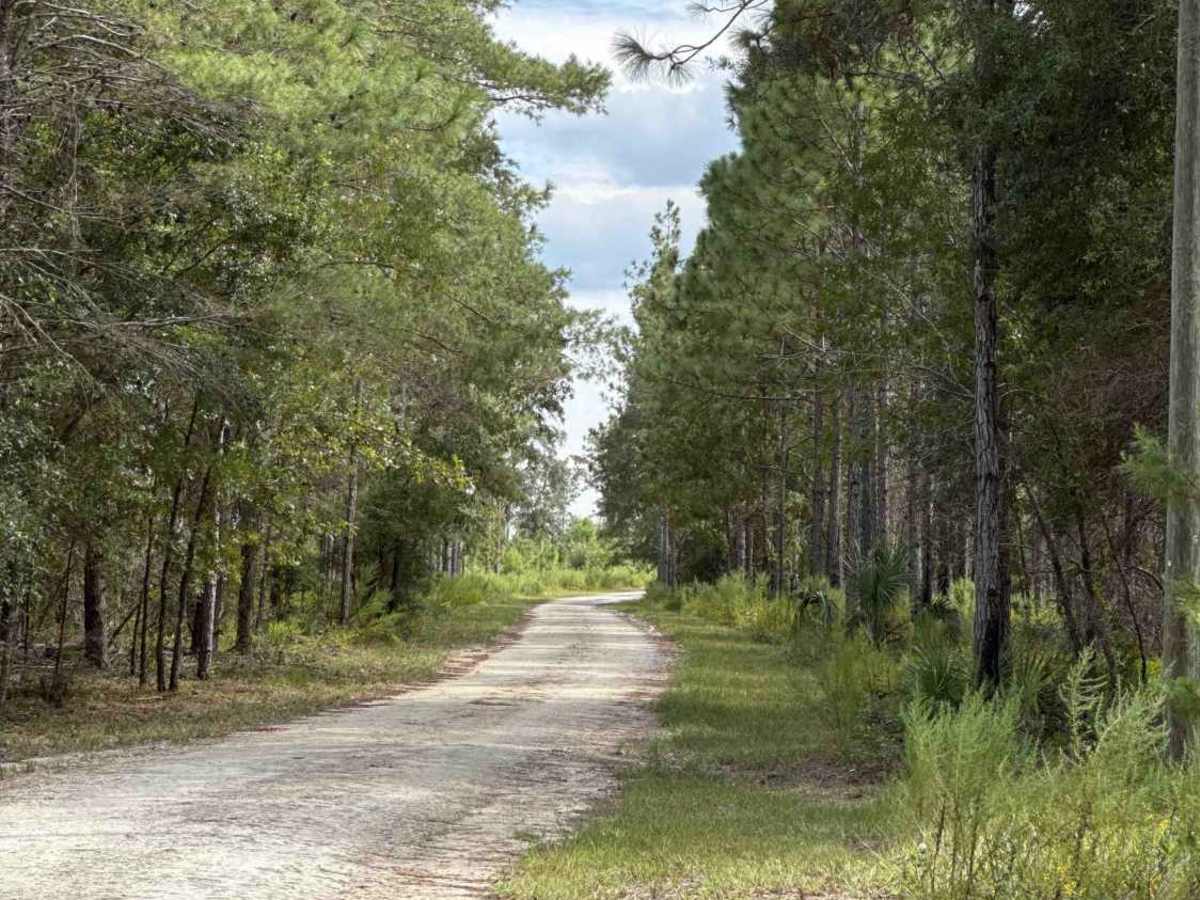 Fieldhouse Road trail photo